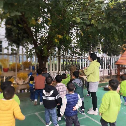 我和树叶一起玩——记小五班课程故事