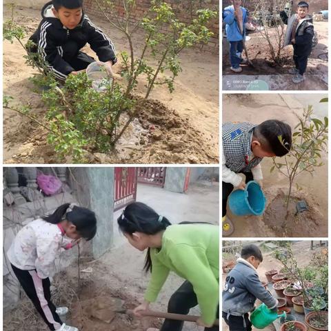 手“植”春光     向阳生长——开封鼓楼区实验小学3.12植树节主题实践活动