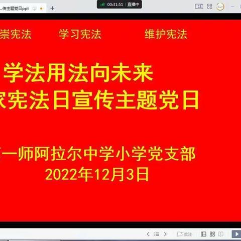 “学法用法向未来”主题党日活动