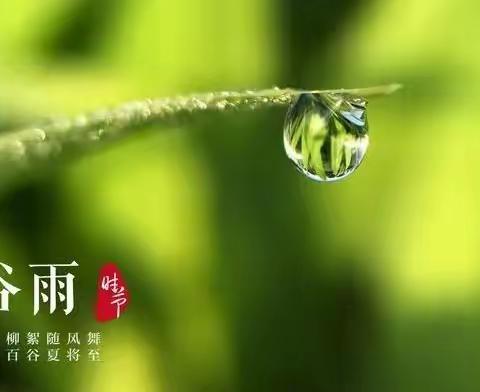 谷雨小记