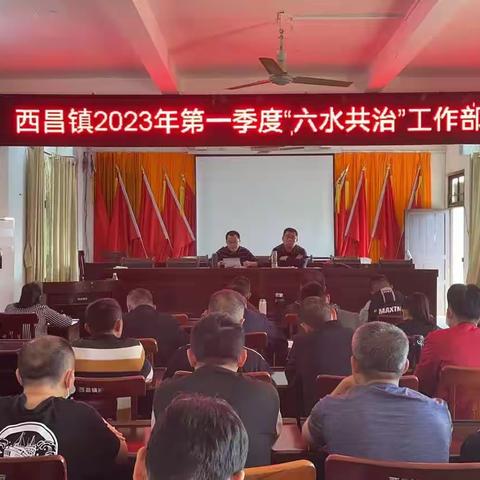 西昌镇开展2023年“世纪水日”“中国水周”宣传活动