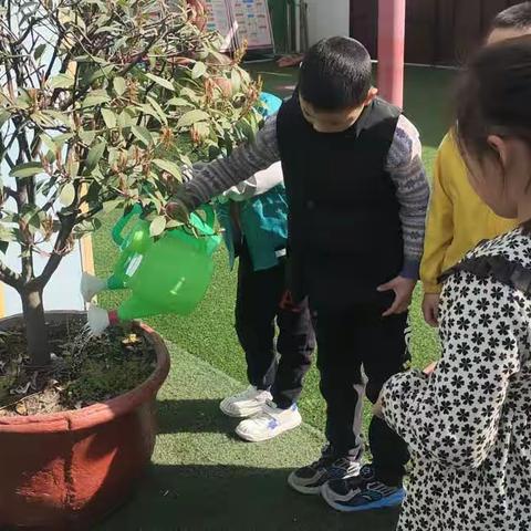 【高新教育】“温暖三月，快乐陪伴”小飞象幼儿园大二班3月份美篇