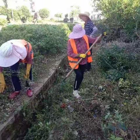 清除杂草垃圾  提升美化环境