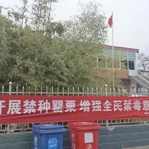 开展禁种罂粟， 增强全民禁毒意识