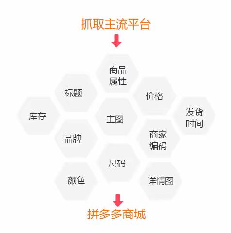 宝妈大学生，工作室转型，拼多多无货源店群项目首选，全国招收学员代理加盟，支持实地考察学习！