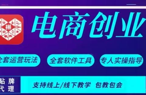 拼多多店群软件代理贴牌全国招商加盟，精通行业内各种运营玩法，线上线下均可服务教学！