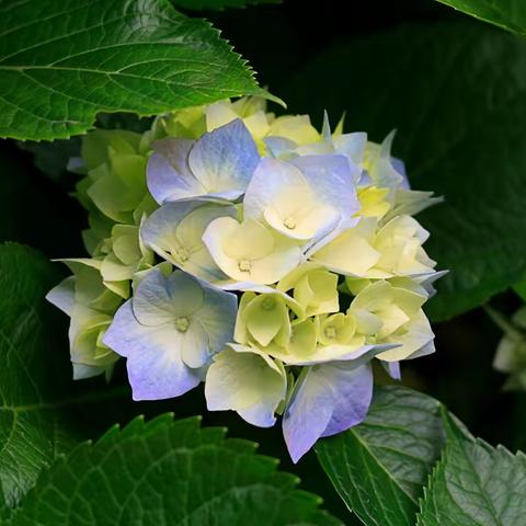 写给女神节