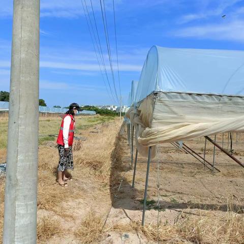 板桥镇老方村网格员持续开展巡查禁止焚烧秸秆工作