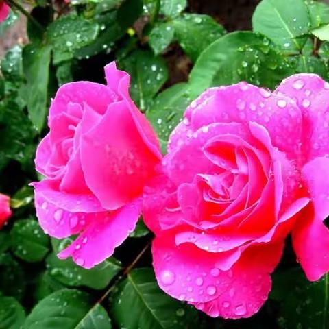 凝心聚力，为美而行