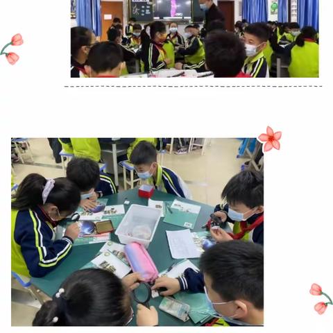 赛出实验精彩，绽放科学魅力——武江区2021-2022学年小学科学优秀课例评比活动顺利举行（芙蓉第一小学赛区）