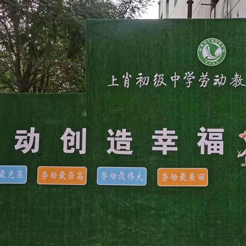 “嗅泥土芬芳-品躬耕之趣”镇原县上肖初级中学劳动教育实践基地——开心农场纪实