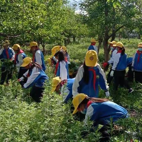 喜迎二十大，实践伴成长，——2022年文笔学校四至六年级校外劳动教学实践活动