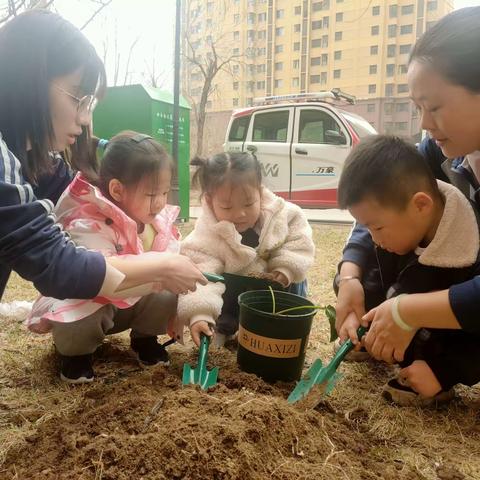 “呵护绿色，拥抱春天”——博雅幼儿园植树节活动