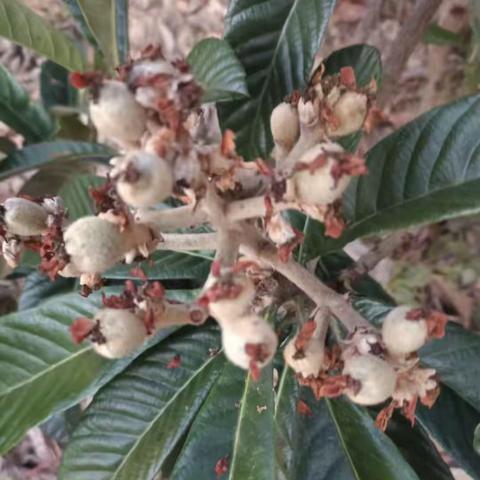 现实会告诉我，如果不努力就会被生活给踩死。无需找什么借口，一无所有，就是拼的理由。早安!