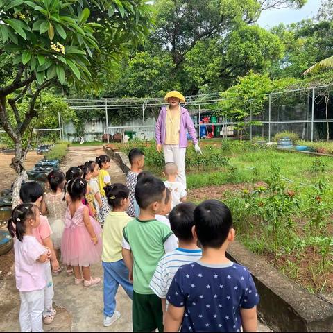 小班健康活动—芒种除草