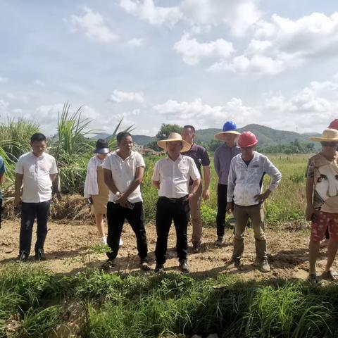 吉阳区区长顾浩到吉阳区高标准农田建设项目施工现场指导项目推进工作(三)