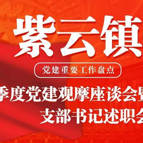 党建观摩谋发展   凝心聚力再提升—紫云镇开展第二季度“党建+”观摩活动