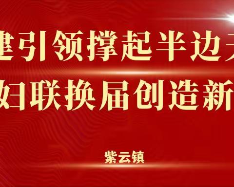 党建引领撑起半边天   妇联换届创造新起点——紫云镇妇联换届工作圆满完成