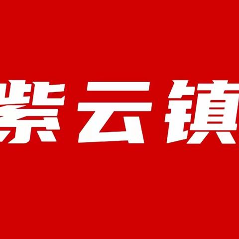 紫云镇开展“党建+人居环境整治”主题党日活动   助力美丽乡村建设