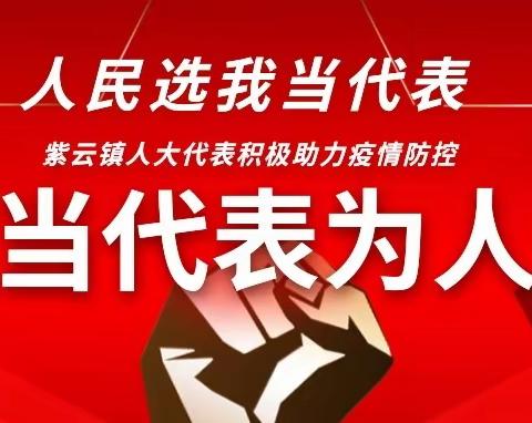 “人民选我当代表，我当代表为人民”——紫云镇人大代表积极参与疫情防控工作