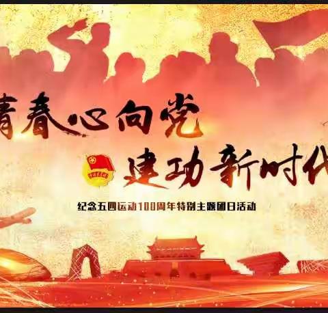 青春心向党，建功新时代——天津市双港中学纪念五四运动100周年主题团日活动