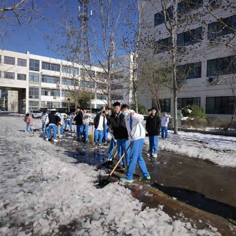 开展扫雪劳动教育 共建平安美丽校园