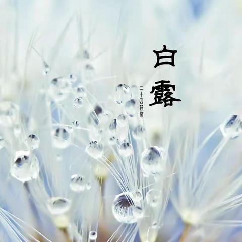 在水一方～之白露插花