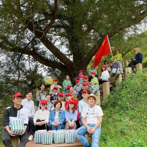 抗疫助农，农业青年在行动——兰溪市农业农村局团总支组织举行茶园采摘助力企业复工活动