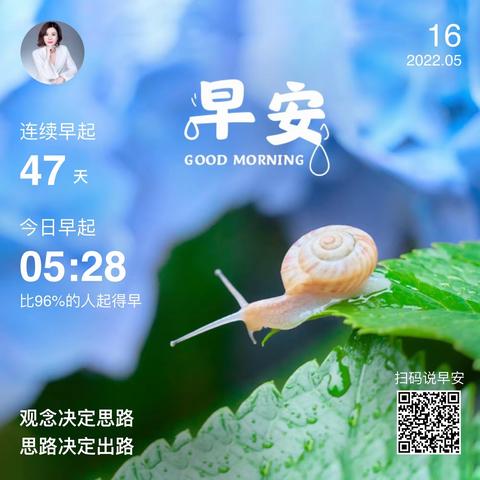 顺利回家