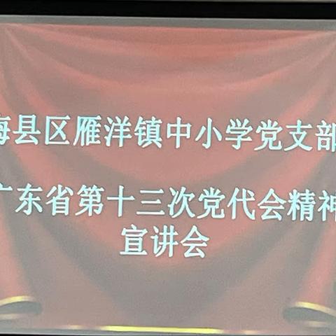 梅县区雁洋镇中小学党支部广东省第十三次党代会精神宣讲会