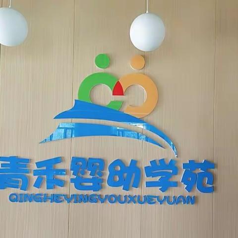 【双向奔赴，共育花开】——禾苗班家长会