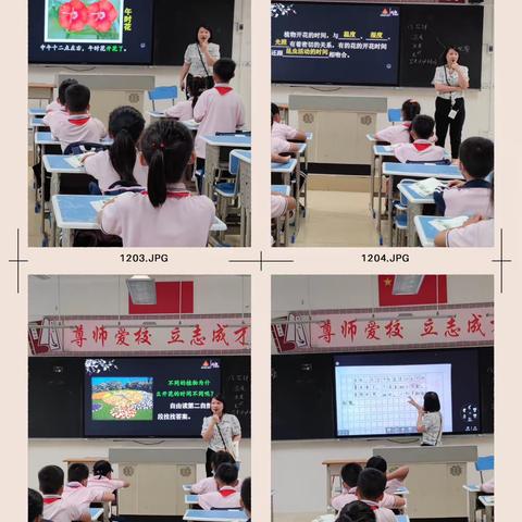 夏日融融，“语”你同行——三亚市崖州区水南小学语文组公开课活动