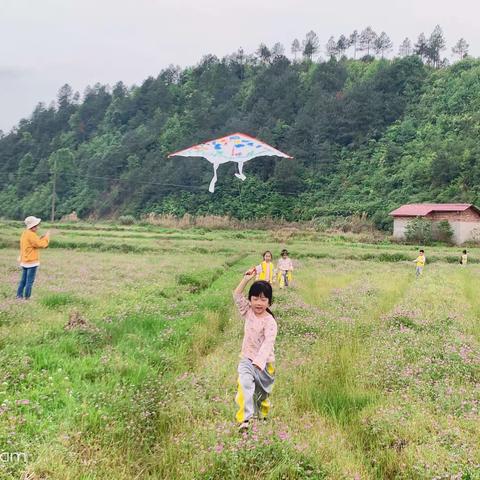 相约春天  走进田野—黎川县幼儿园2021大班组户外拓展体验活动