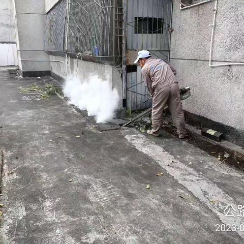 2023年3月24日广州市江氏杀虫有限公司在儋州市辖区开展病媒生物防制施工