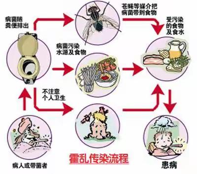 武汉大学出现一例霍乱病例情况，霍乱到底是什么？