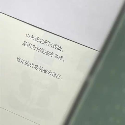 唐县实验中学2021级2班六组暑假优秀作业展示（第六期）