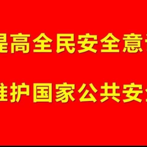 总体国家安全观 ﻿