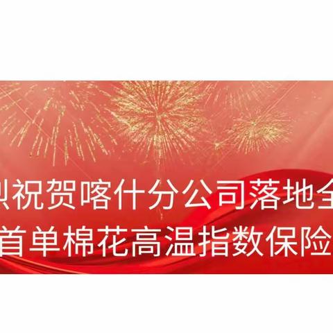 中华财险喀什分公司落地全疆首单棉花高温指数保险