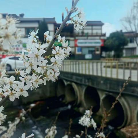 让知识“长”在我们的田野上