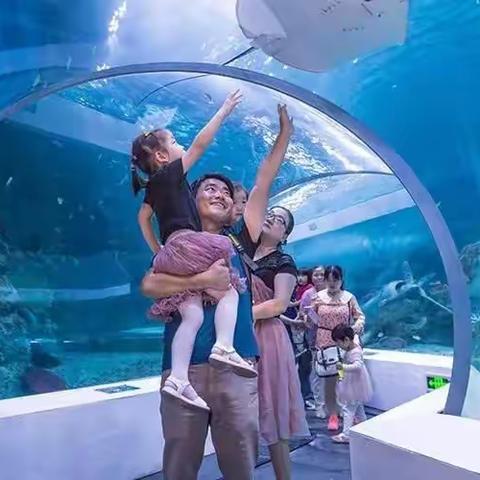 🐬卡曼艺术——芜湖大白鲸海洋公园+鸠兹古镇亲子1日游🐬