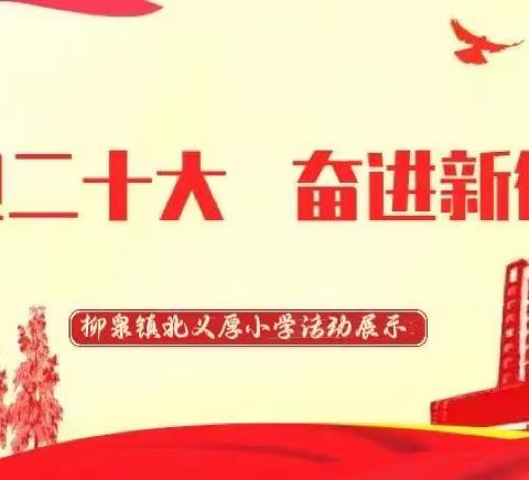 喜迎二十大 永远跟党走 奋斗新征程【中国少年先锋队】