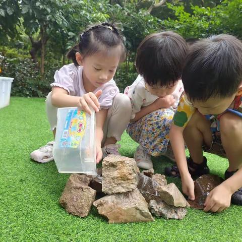 周主题:《生态地球，你我的家》