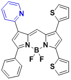 BODIPY-609/640nm  氟化硼二吡咯609/640  BDP-609/640