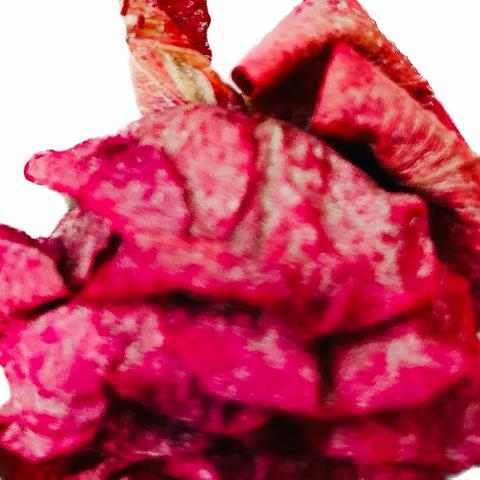 游 子的视觉语言的美篇