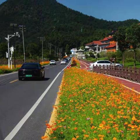 绿化美化生态湾里，鲜花扮靓乡村公路