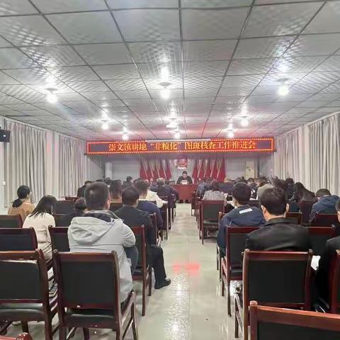 崇文镇耕地“非农化”“非粮化”专项整治