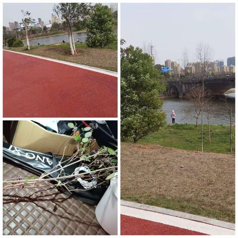 我植树，我快乐！