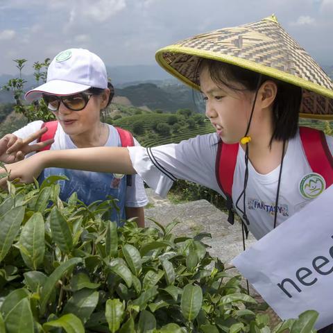 博然户外教育——沉浸式英汉双语交流：桂林外语导游转型后的一种新业态