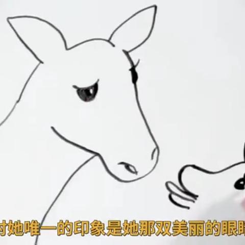 我是奥利维亚，让我画出我的故事 ———— —头奶牛的自述画