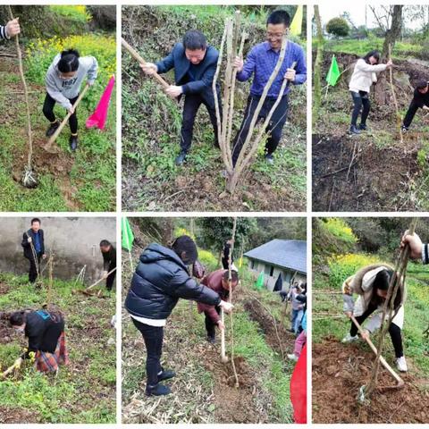 相约春天，共植希望——张家界第三中学植树活动